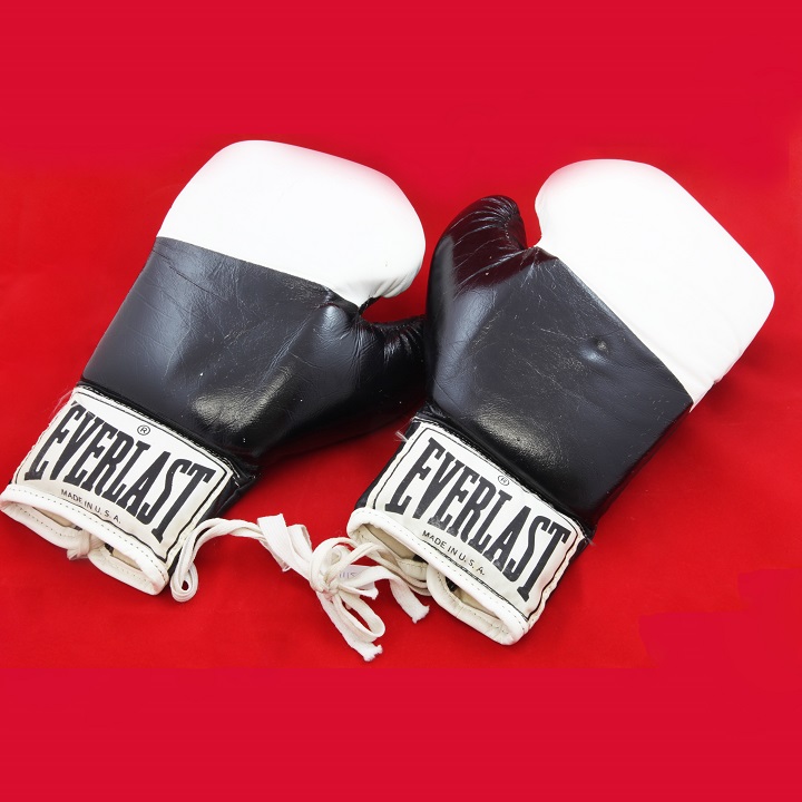 720 Bokshandschoenen Arnold Vanderlyde