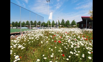 Aan de slag met meer biodiversiteit op je sportclub?