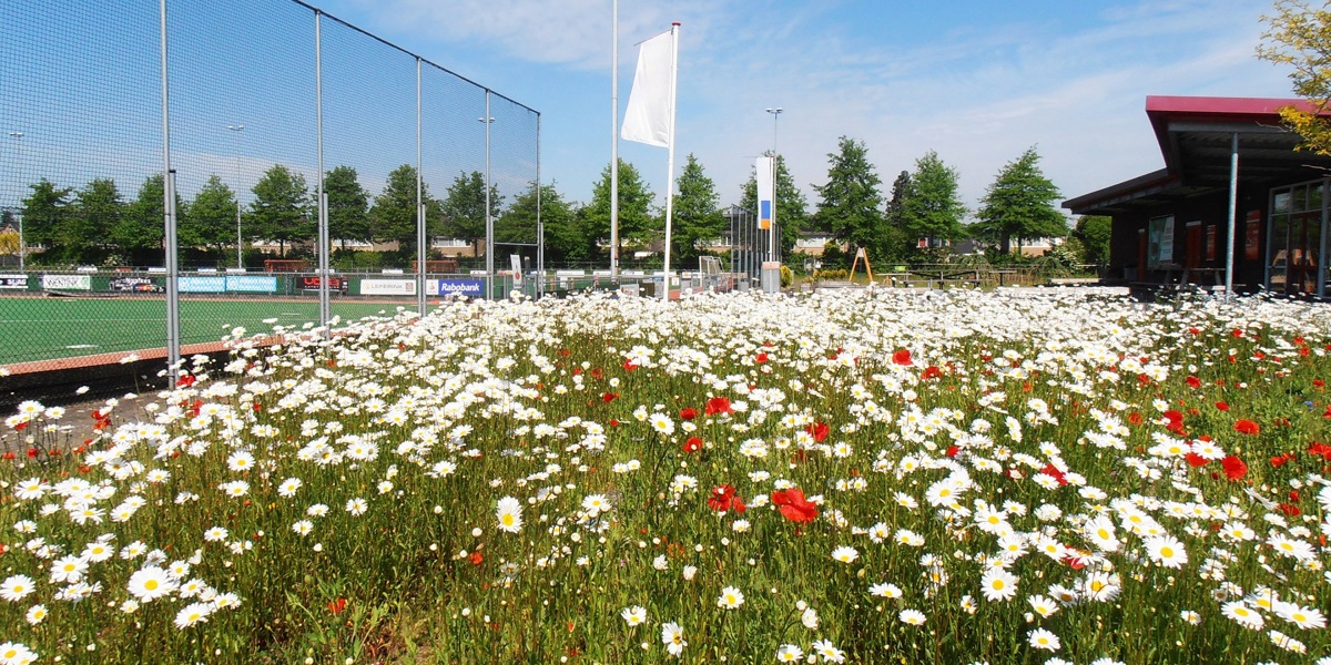 Aan de slag met meer biodiversiteit op je sportclub?