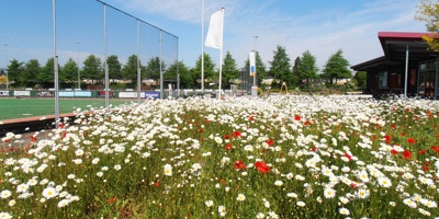 Aan de slag met meer biodiversiteit op je sportclub?