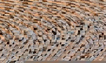 IOC: Russen en Belarussen alleen welkom onder neutrale vlag