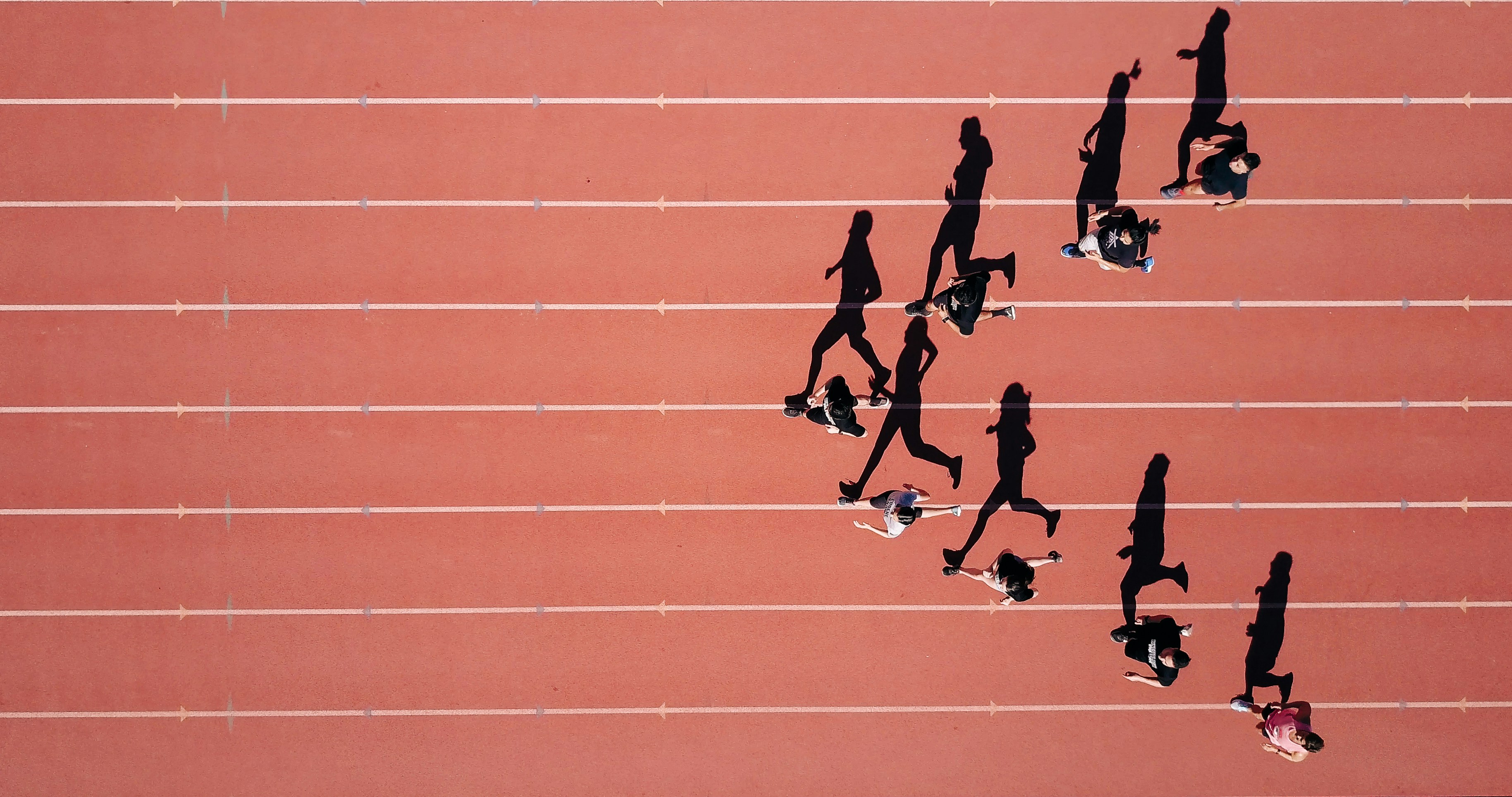 Steven Lelham Atsaeoee8nk Unsplash