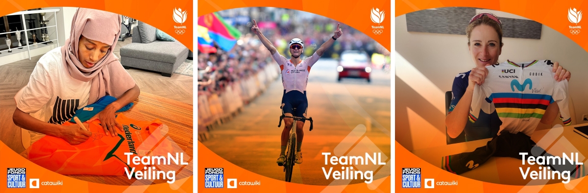 TeamNL Veiling collage