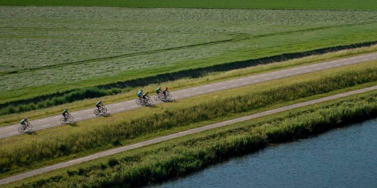 Impact met dashboards: een praktijkvoorbeeld van de NTFU