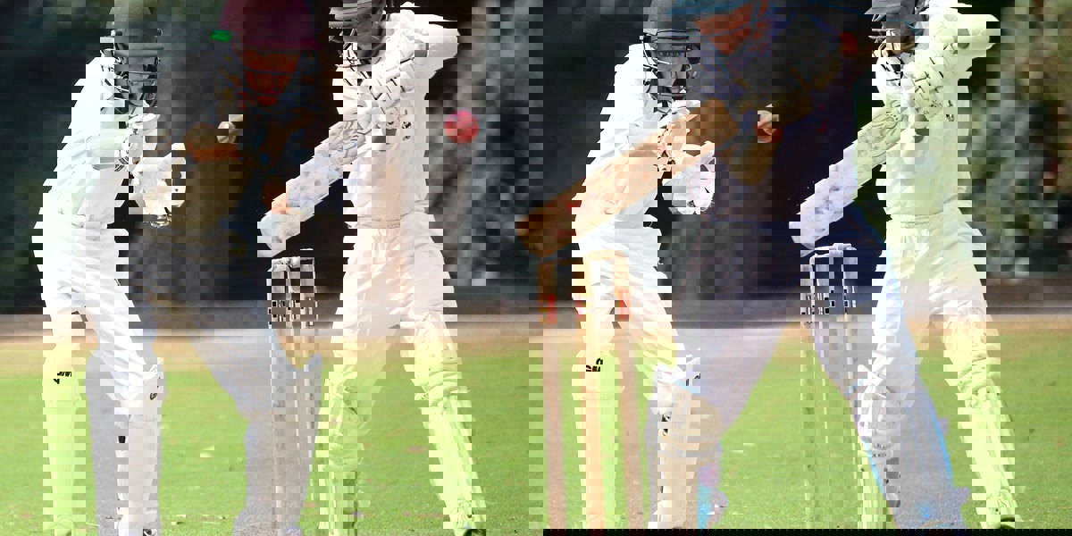 Investeren in ontwikkeling: opleiding Chief Data Officer